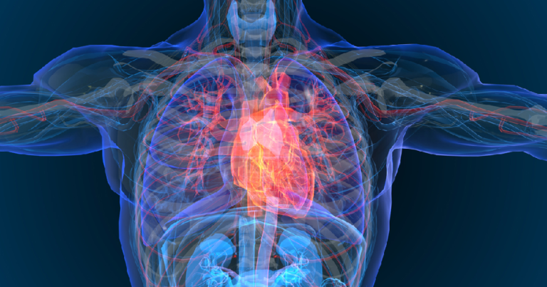 What is cardiac ablation?