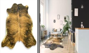 Should you go for cowhide rugs?
