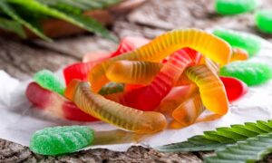 Elevate Your Edible Experience: Why You Need to Consider Infused Delights