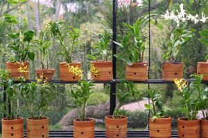 Global Market Trends for Wholesale Nursery Pots