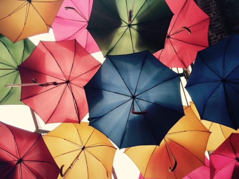 Reasons For Enduring Popularity Of Screen-Printed Umbrella
