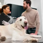 What Exotic Pet Owners in the Twin Cities Need to Know Before Their First Vet Visit